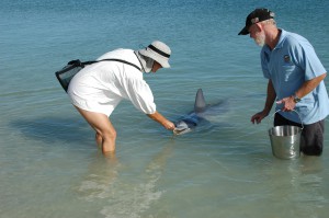 Elke füttert den Delfin